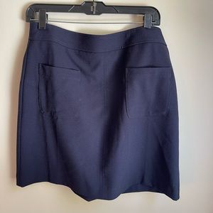 NWT LOFT skirt